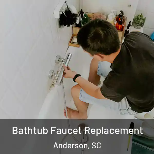  Bathtub Faucet Replacement Anderson, SC