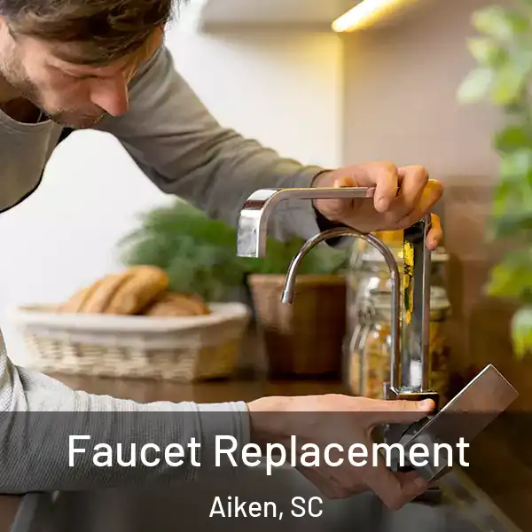  Faucet Replacement Aiken, SC