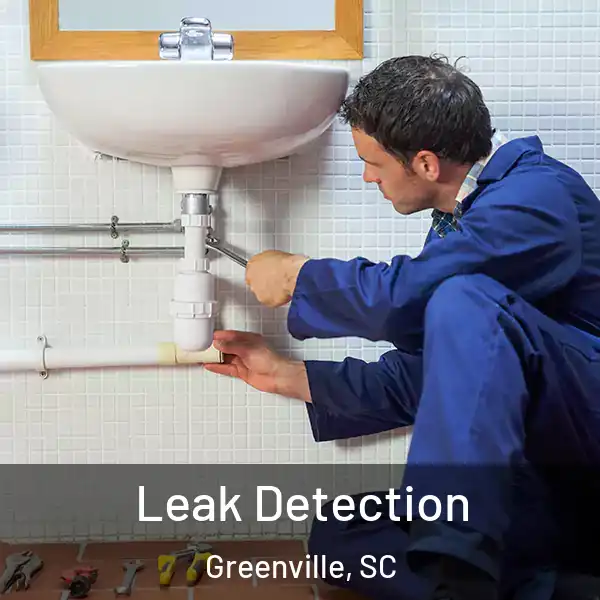  Leak Detection Greenville, SC
