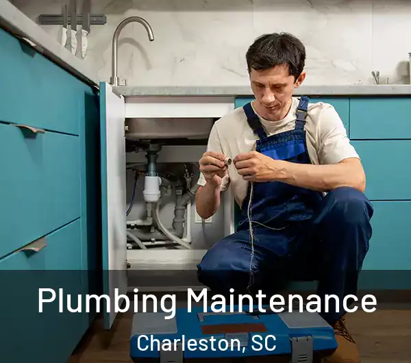  Plumbing Maintenance Charleston, SC