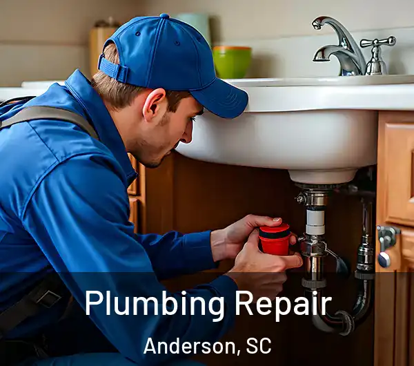 Plumbing Repair Anderson, SC