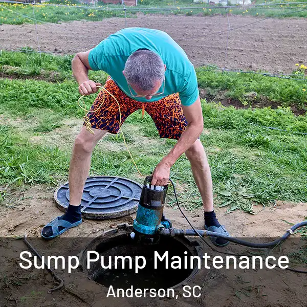  Sump Pump Maintenance Anderson, SC