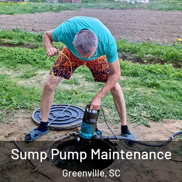  Sump Pump Maintenance Greenville, SC