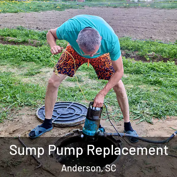  Sump Pump Replacement Anderson, SC