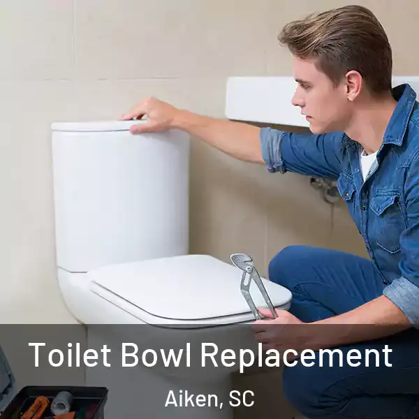  Toilet Bowl Replacement Aiken, SC
