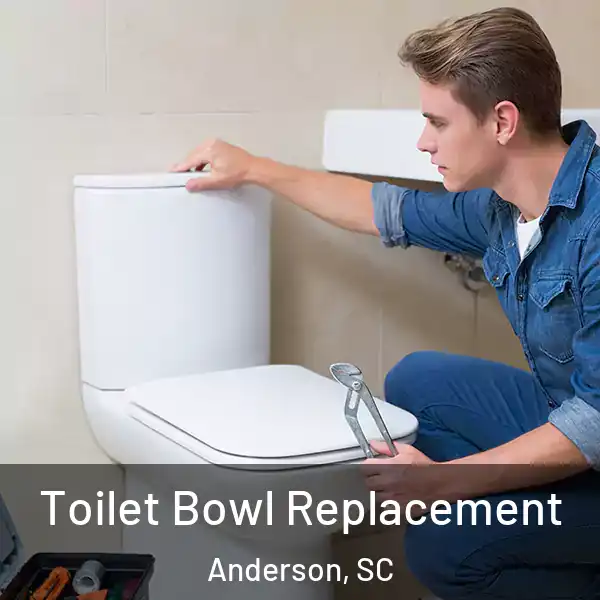  Toilet Bowl Replacement Anderson, SC