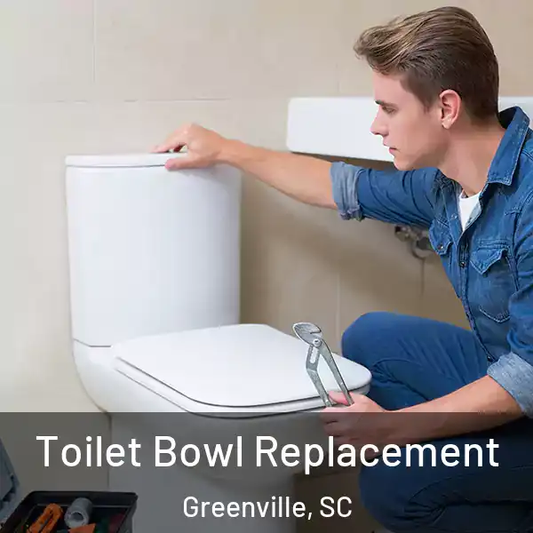  Toilet Bowl Replacement Greenville, SC