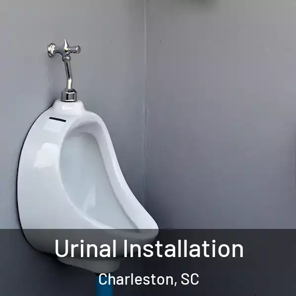  Urinal Installation Charleston, SC