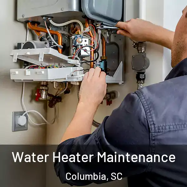  Water Heater Maintenance Columbia, SC